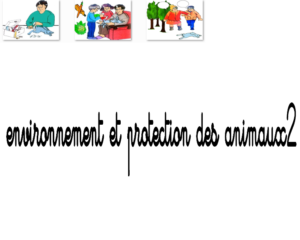 Environnement bd5