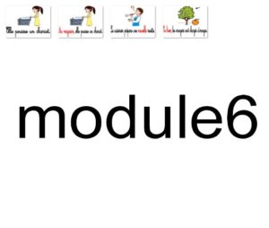 module6