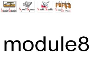 module8
