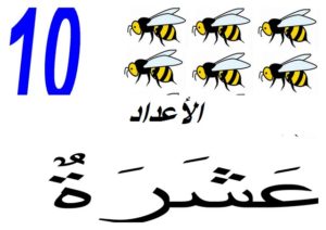 الأعداد003