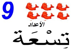 الأعداد005