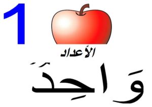 الأعداد011