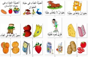 التّغذية