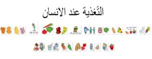 التّغذية عند الانسان