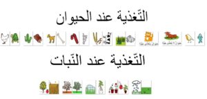 التّغذية عند الحيوان