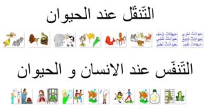 التّنقّل عند الحيوان