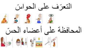 الحواسّ