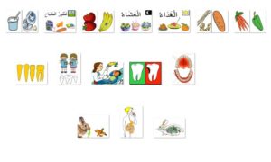الغذاء