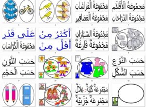 المجموعات