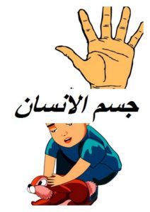 جسم الانسان002