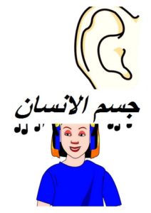 جسم الانسان005