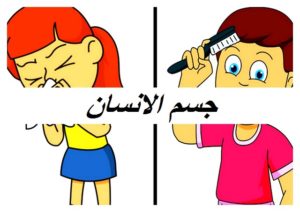 جسم الانسان007