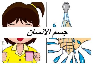 جسم الانسان008