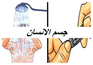 جسم الانسان009