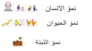 نموّ الانسان