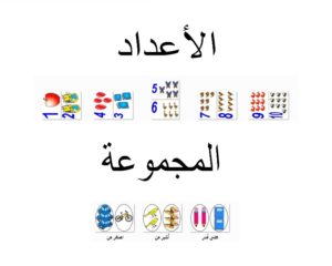 العدد