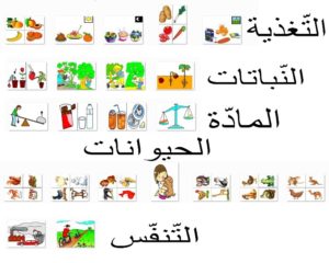 تغذية
