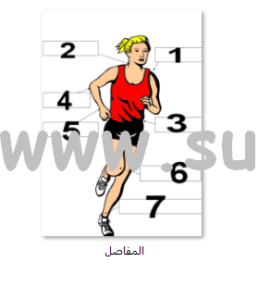 المفاصل