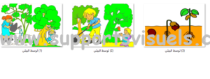 الوسط البيئي