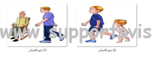 نمو الانسان
